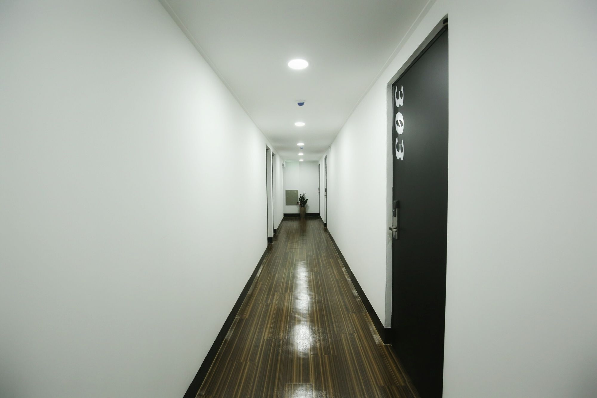 Stayan Guesthouse And Bnb Busan Bagian luar foto